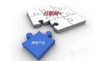 打造沒有圍墻的養(yǎng)老院 互聯(lián)網(wǎng)技術(shù)如何重塑養(yǎng)老服務(wù)